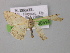  ( - BC ZSM Lep 00514)  @12 [ ] CreativeCommons - Attribution Non-Commercial Share-Alike (2010) Unspecified SNSB, Zoologische Staatssammlung Muenchen