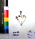  (Acalypha ciliata - DNAFR001049)  @11 [ ] Copyright (2015) Gujarat Biodiversity Gene Bank, GSBTM, DST, GoG Gujarat Biodiversity Gene Bank, GSBTM, DST, GoG
