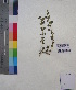  ( - DNAFR001190)  @11 [ ] Copyright (2015) Gujarat Biodiversity Gene Bank, GSBTM, DST, GoG Gujarat Biodiversity Gene Bank, GSBTM, DST, GoG