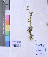  ( - DNAFR001065)  @11 [ ] Copyright (2015) Gujarat Biodiversity Gene Bank, GSBTM, DST, GoG Gujarat Biodiversity Gene Bank, GSBTM, DST, GoG
