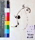  (Ipomoea obscura - DNAFR001135)  @11 [ ] Copyright (2015) Gujarat Biodiversity Gene Bank, GSBTM, DST, GoG Gujarat Biodiversity Gene Bank, GSBTM, DST, GoG