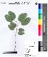  ( - DNAFR000076)  @11 [ ] Copyright (2012) Unspecified Gujarat State Biotechnology Mission