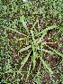  ( - DNAFR000764)  @11 [ ] Copyright (2014) Gujarat Biodiversity Gene Bank, GSBTM, DST, GoG Gujarat Biodiversity Gene Bank, GSBTM, DST, GoG