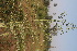  ( - DNAFR000863)  @11 [ ] Copyright (2014) Gujarat Biodiversity Gene Bank, GSBTM, DST, GoG Gujarat Biodiversity Gene Bank, GSBTM, DST, GoG