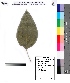  ( - DNAFR000096)  @11 [ ] Copyright (2012) Unspecified Gujarat State Biotechnology Mission