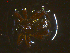  ( - 11239-A07)  @12 [ ] CreativeCommons - Attribution Non-Commercial Share-Alike (2011) Thibaud Decaens ECODIV
