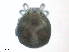  ( - BIOUG27038-G05)  @11 [ ] CreativeCommons - Attribution (2016) CBG Photography Group Centre for Biodiversity Genomics
