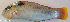 ( - P010111014)  @11 [ ] CreativeCommons Attribution ShareAlike (2021) Institut Halieutique et des Sciences Marines Institut Halieutique et des Sciences Marines