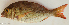  ( - P07100994)  @11 [ ] CreativeCommons Attribution ShareAlike (2021) Institut Halieutique et des Sciences Marines Institut Halieutique et des Sciences Marines