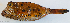  ( - P07241291)  @11 [ ] CreativeCommons Attribution ShareAlike (2021) Institut Halieutique et des Sciences Marines Institut Halieutique et des Sciences Marines