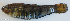  ( - P07241309)  @11 [ ] CreativeCommons Attribution ShareAlike (2021) Institut Halieutique et des Sciences Marines Institut Halieutique et des Sciences Marines