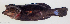  ( - P07241399)  @11 [ ] CreativeCommons Attribution ShareAlike (2021) Institut Halieutique et des Sciences Marines Institut Halieutique et des Sciences Marines