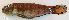  ( - P08022080)  @11 [ ] CreativeCommons Attribution ShareAlike (2021) Institut Halieutique et des Sciences Marines Institut Halieutique et des Sciences Marines