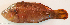  ( - P08022107)  @11 [ ] CreativeCommons Attribution ShareAlike (2021) Institut Halieutique et des Sciences Marines Institut Halieutique et des Sciences Marines