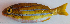  ( - P09190777)  @11 [ ] CreativeCommons Attribution ShareAlike (2021) Institut Halieutique et des Sciences Marines Institut Halieutique et des Sciences Marines