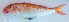  ( - P11222427)  @11 [ ] CreativeCommons Attribution ShareAlike (2021) Institut Halieutique et des Sciences Marines Institut Halieutique et des Sciences Marines