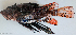  ( - P12040096)  @11 [ ] CreativeCommons Attribution ShareAlike (2021) Institut Halieutique et des Sciences Marines Institut Halieutique et des Sciences Marines