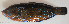  ( - P12040146)  @11 [ ] CreativeCommons Attribution ShareAlike (2021) Institut Halieutique et des Sciences Marines Institut Halieutique et des Sciences Marines