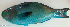  ( - P12120416)  @11 [ ] CreativeCommons Attribution ShareAlike (2021) Institut Halieutique et des Sciences Marines Institut Halieutique et des Sciences Marines