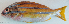  ( - P2150622)  @11 [ ] CreativeCommons Attribution ShareAlike (2021) Institut Halieutique et des Sciences Marines Institut Halieutique et des Sciences Marines