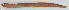  ( - P2150654)  @11 [ ] CreativeCommons Attribution ShareAlike (2021) Institut Halieutique et des Sciences Marines Institut Halieutique et des Sciences Marines