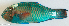  ( - P4050439)  @11 [ ] CreativeCommons Attribution ShareAlike (2021) Institut Halieutique et des Sciences Marines Institut Halieutique et des Sciences Marines