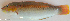  ( - P5011809)  @11 [ ] CreativeCommons Attribution ShareAlike (2021) Institut Halieutique et des Sciences Marines Institut Halieutique et des Sciences Marines