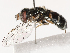  ( - CBG-B03939-A02)  @11 [ ] CreativeCommons - Attribution Share - Alike (2025) CBG Photography Group Centre for Biodiversity Genomics
