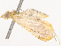  ( - CBG-B14769-D05)  @11 [ ] CreativeCommons - Attribution Share - Alike (2025) CBG Photography Group Centre for Biodiversity Genomics