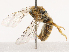  ( - CBG-B07455-B01)  @11 [ ] CreativeCommons - Attribution Share - Alike (2025) CBG Photography Group Centre for Biodiversity Genomics