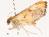  ( - CBG-B07578-H08)  @11 [ ] CreativeCommons - Attribution Share - Alike (2025) CBG Photography Group Centre for Biodiversity Genomics
