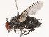  ( - CBG-B19182-G08)  @11 [ ] CreativeCommons - Attribution Share - Alike (2025) CBG Photography Group Centre for Biodiversity Genomics