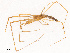  ( - CBG-B19182-H04)  @11 [ ] CreativeCommons - Attribution Share - Alike (2025) CBG Photography Group Centre for Biodiversity Genomics