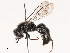  ( - CBG-B19186-B08)  @11 [ ] CreativeCommons - Attribution Share - Alike (2025) CBG Photography Group Centre for Biodiversity Genomics