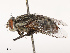  ( - CBG-B19186-D12)  @11 [ ] CreativeCommons - Attribution Share - Alike (2025) CBG Photography Group Centre for Biodiversity Genomics