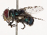  ( - CBG-B07457-E04)  @11 [ ] CreativeCommons - Attribution Share - Alike (2025) CBG Photography Group Centre for Biodiversity Genomics