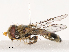  ( - CBG-B07457-G04)  @11 [ ] CreativeCommons - Attribution Share - Alike (2025) CBG Photography Group Centre for Biodiversity Genomics