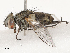  ( - CBG-B07466-E06)  @11 [ ] CreativeCommons - Attribution Share - Alike (2025) CBG Photography Group Centre for Biodiversity Genomics