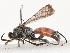  ( - CBG-B07466-H01)  @11 [ ] CreativeCommons - Attribution Share - Alike (2025) CBG Photography Group Centre for Biodiversity Genomics