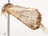  ( - CBG-B07581-D02)  @11 [ ] CreativeCommons - Attribution Share - Alike (2025) CBG Photography Group Centre for Biodiversity Genomics
