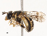  ( - CBG-B07581-G09)  @11 [ ] CreativeCommons - Attribution Share - Alike (2025) CBG Photography Group Centre for Biodiversity Genomics