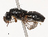  ( - CBG-B07582-B03)  @11 [ ] CreativeCommons - Attribution Share - Alike (2025) CBG Photography Group Centre for Biodiversity Genomics