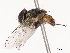  ( - CBG-B07582-C01)  @11 [ ] CreativeCommons - Attribution Share - Alike (2025) CBG Photography Group Centre for Biodiversity Genomics