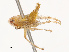  ( - CBG-B19167-E08)  @11 [ ] CreativeCommons - Attribution Share - Alike (2025) CBG Photography Group Centre for Biodiversity Genomics