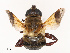  ( - CBG-B19186-E12)  @11 [ ] CreativeCommons - Attribution Share - Alike (2025) CBG Photography Group Centre for Biodiversity Genomics