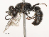  ( - CBG-B19186-F11)  @11 [ ] CreativeCommons - Attribution Share - Alike (2025) CBG Photography Group Centre for Biodiversity Genomics