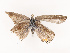  ( - CBG-B21630-D12)  @11 [ ] CreativeCommons - Attribution Share - Alike (2025) CBG Photography Group Centre for Biodiversity Genomics