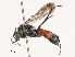  ( - CBG-B21630-E04)  @11 [ ] CreativeCommons - Attribution Share - Alike (2025) CBG Photography Group Centre for Biodiversity Genomics
