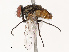  ( - CBG-B21630-H06)  @11 [ ] CreativeCommons - Attribution Share - Alike (2025) CBG Photography Group Centre for Biodiversity Genomics