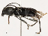  ( - CBG-B07590-A09)  @11 [ ] CreativeCommons - Attribution Share - Alike (2025) CBG Photography Group Centre for Biodiversity Genomics
